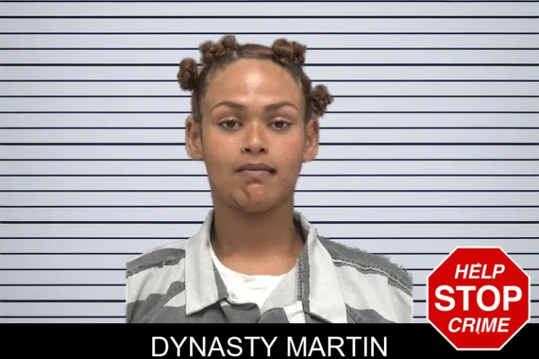 Dynasty Martin