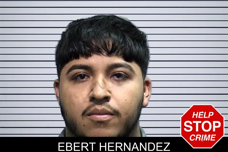 Ebert Hernandez mugshot
