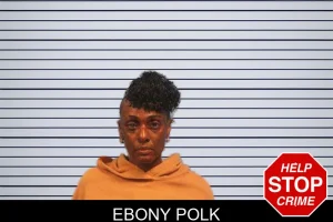 Ebony Polk mugshot