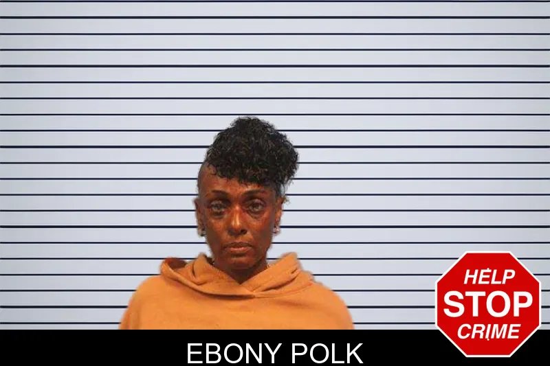 Ebony Polk mugshot