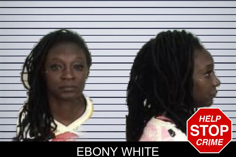 Ebony White mugshot