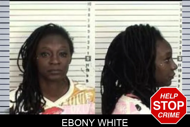 Ebony White mugshot – Camden County , Georgia Ebony White mugshot