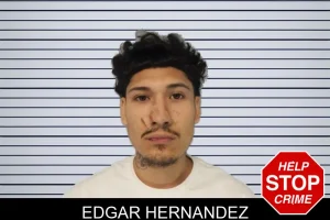 Edgar Hernandez mugshot