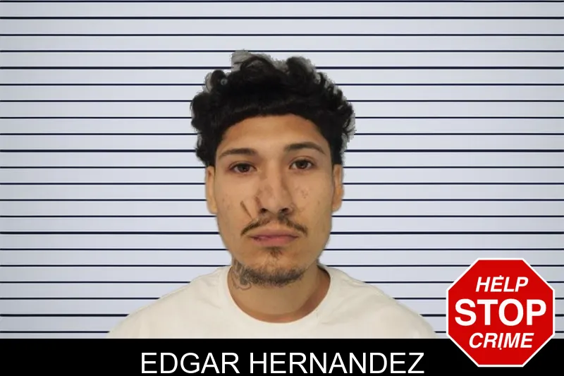 Edgar Hernandez mugshot