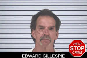 Edward Gillespie mugshot