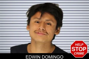 Edwin Domingo mugshot