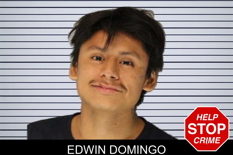 Edwin Domingo mugshot – Hall County , Georgia Edwin Domingo mugshot