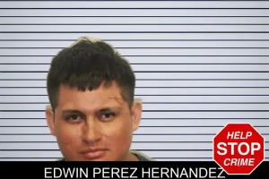 Edwin Perez Hernandez mugshot