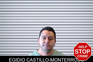 Egidio Castillo-Monterroso mugshot