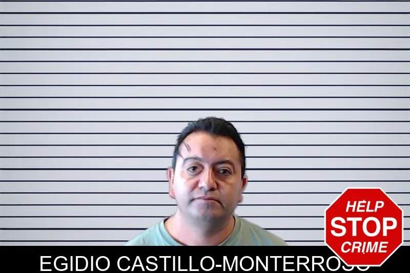 Egidio Castillo-Monterroso mugshot