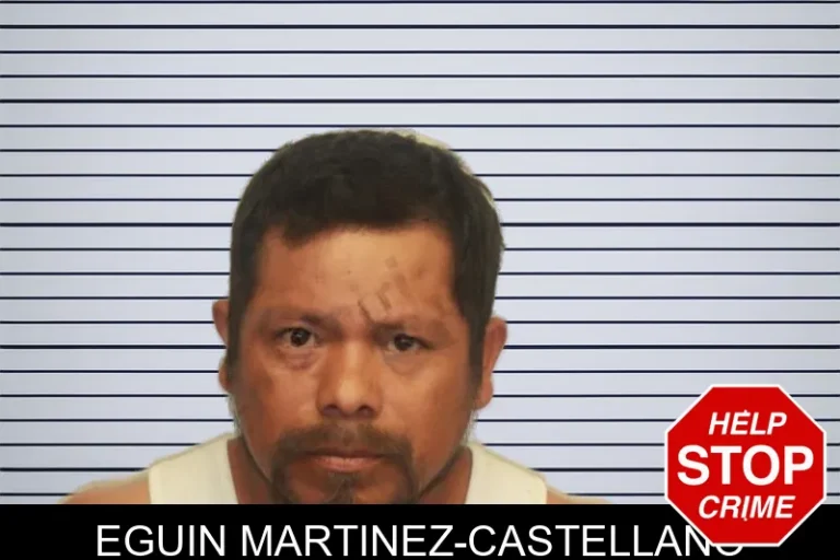 Eguin Martinez-Castellano