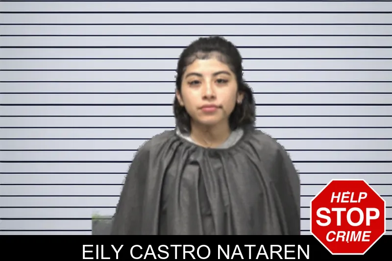 Eily Castro Nataren mugshot