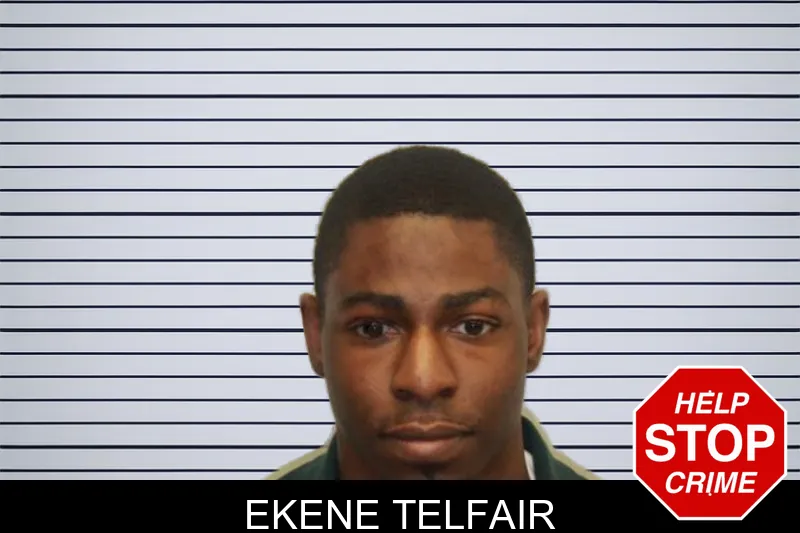 Ekene Telfair mugshot – Chatham County , Georgia Ekene Telfair mugshot