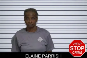 Elaine Parrish mugshot