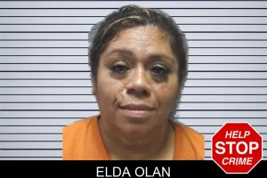 Elda Olan mugshot
