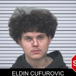 Eldin Cufurovic mugshot – Gwinnett County , Georgia Eldin Cufurovic mugshot