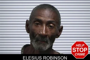 Elesius Robinson mugshot