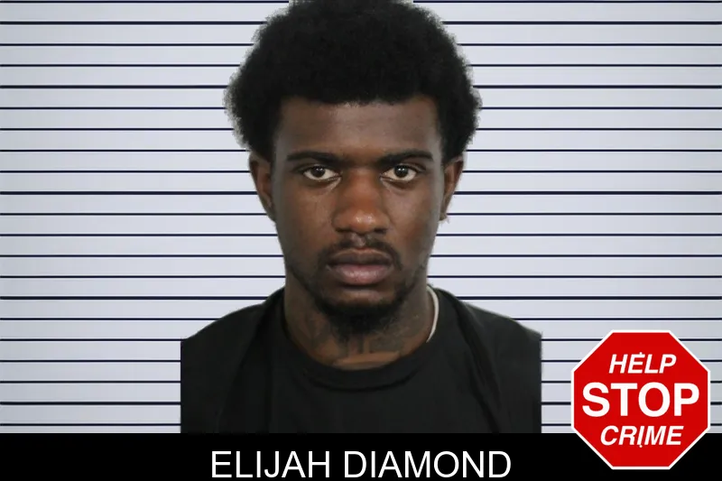 Elijah Diamond mugshot