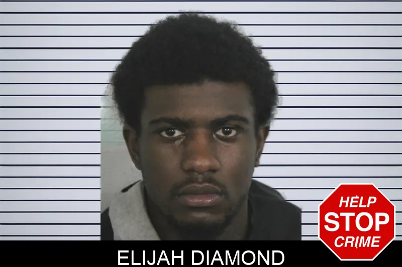 Elijah Diamond mugshot