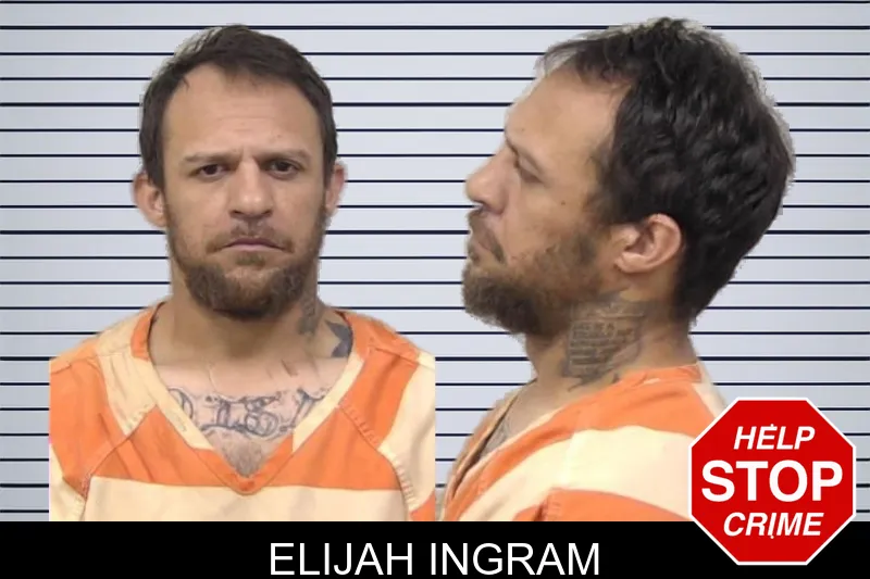 Elijah Ingram mugshot