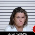 Elisa Ammons mugshot
