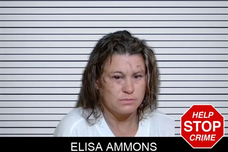 Elisa Ammons mugshot – Glynn County , Georgia Elisa Ammons