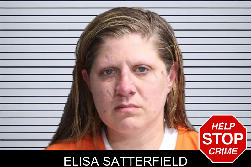 Elisa Satterfield mugshot