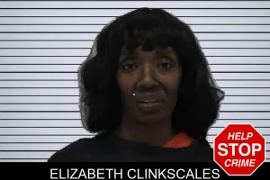 Elizabeth Clinkscales mugshot