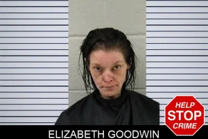 Elizabeth Goodwin mugshot
