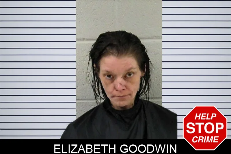 Elizabeth Goodwin mugshot