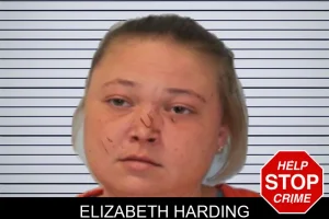Elizabeth Harding mugshot