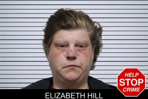 Elizabeth Hill mugshot