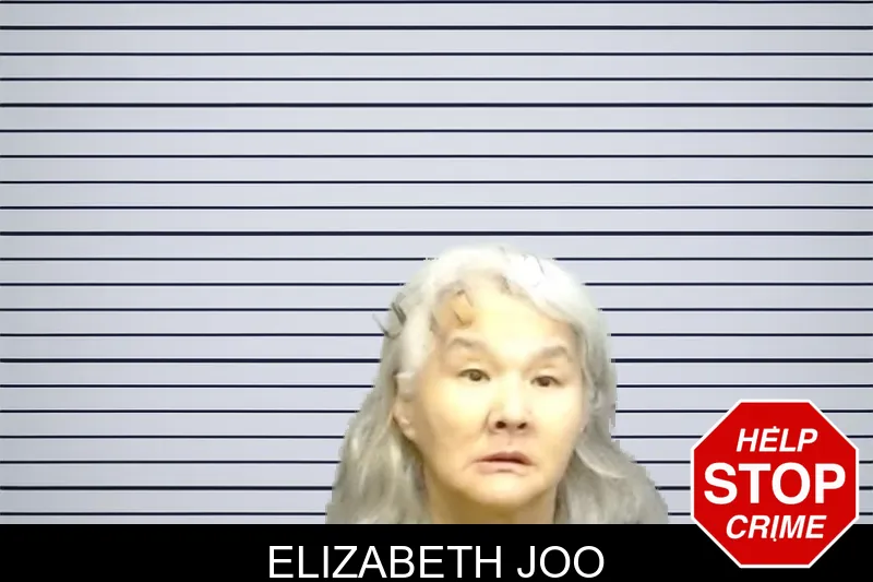 Elizabeth Joo mugshot
