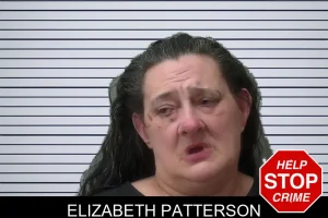 Elizabeth Patterson mugshot
