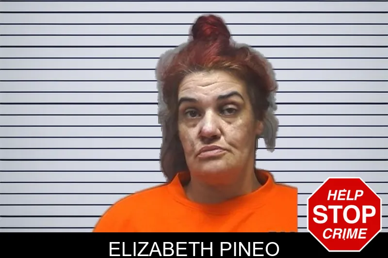 Elizabeth Pineo mugshot