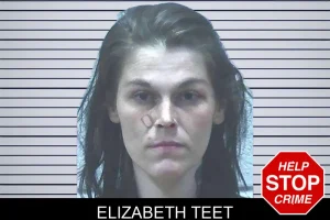 Elizabeth Teet mugshot