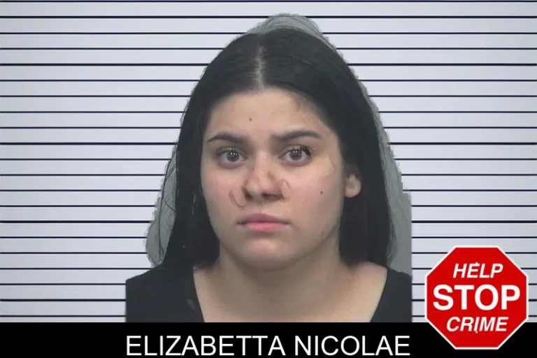 Elizabetta Nicolae mugshot – Gwinnett County , Georgia Elizabetta Nicolae