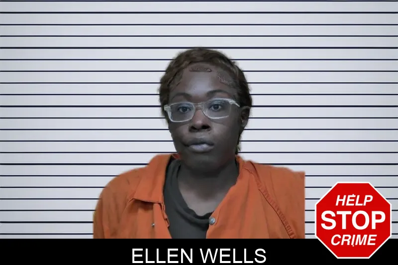 Ellen Wells mugshot