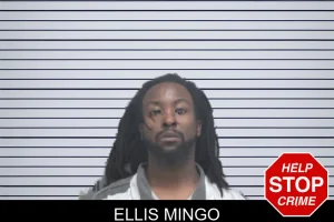 Ellis Mingo mugshot