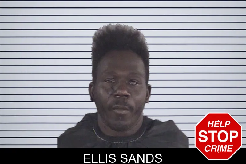 Ellis Sands mugshot
