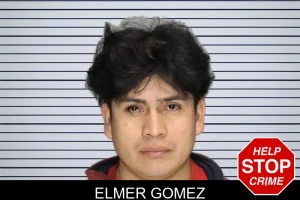 Elmer Gomez mugshot