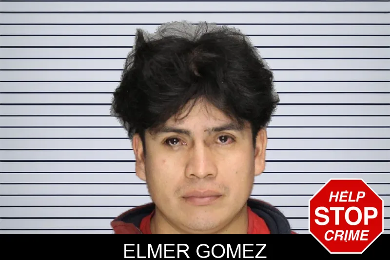 Elmer Gomez mugshot