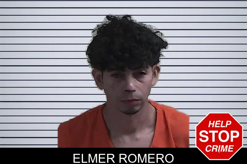 Elmer Romero mugshot