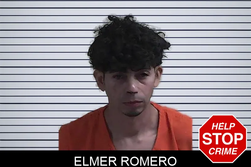 Elmer Romero mugshot