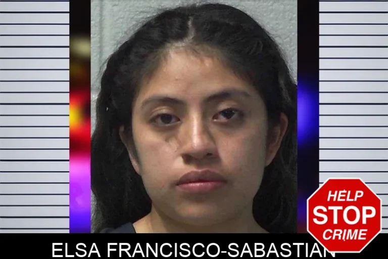 Elsa Francisco-Sabastian mugshot – Gilmer County , Georgia Elsa Francisco-Sabastian