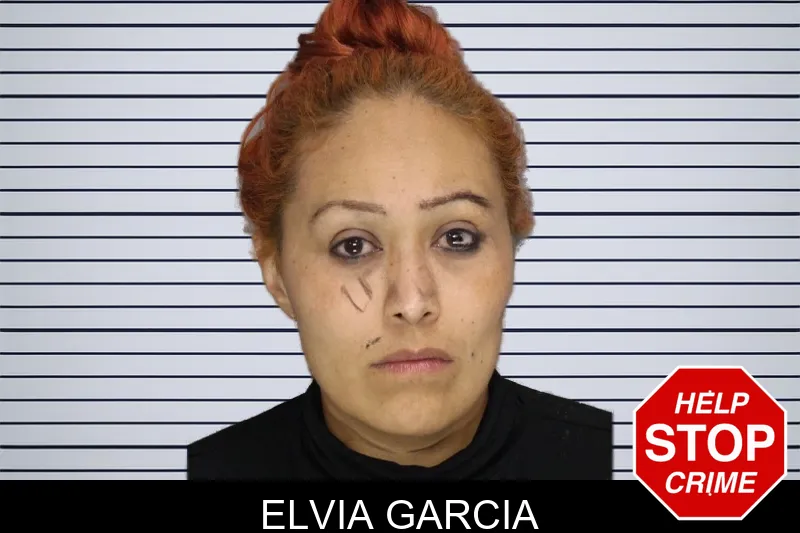 Elvia Garcia mugshot