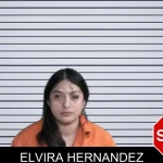 Elvira Hernandez mugshot