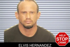 Elvis Hernandez mugshot