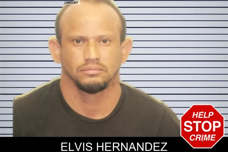 Elvis Hernandez mugshot – Chatham County , Georgia Elvis Hernandez