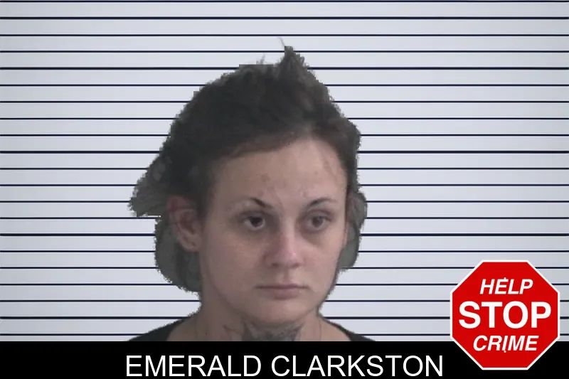 Emerald Clarkston mugshot – Brantley County , Georgia Emerald Clarkston mugshot